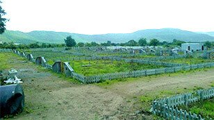 NA plots in Pune
