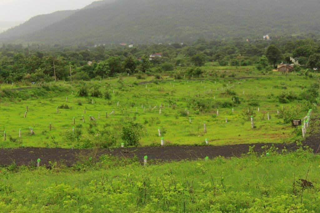 Non Agricultural plots in Hinjewadi