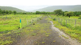 pune plots hinjewadi